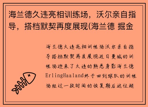海兰德久违亮相训练场，沃尔亲自指导，搭档默契再度展现(海兰德 掘金)